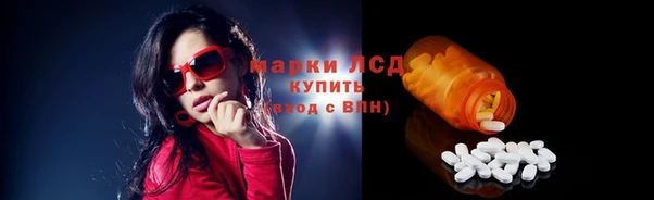 стафф Аркадак