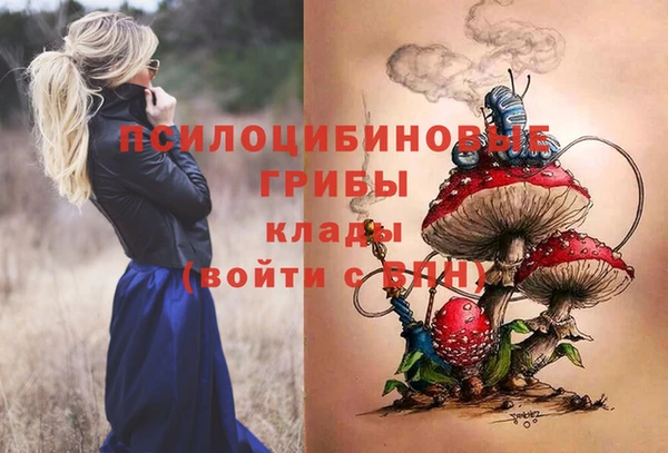 спиды Михайловка