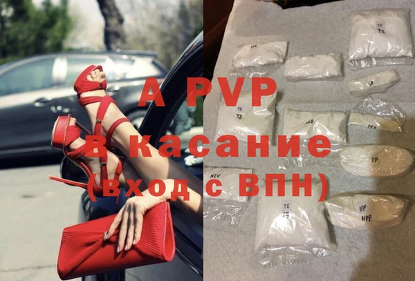 стафф Аркадак