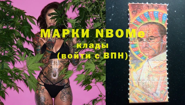 твердый Михайлов