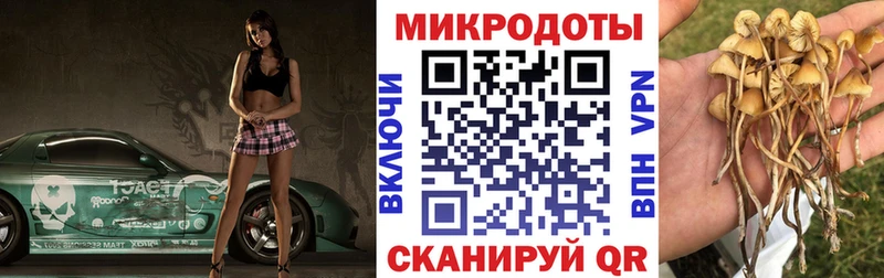 Купить где  Аша  Галлюциногенные грибы мухоморы 